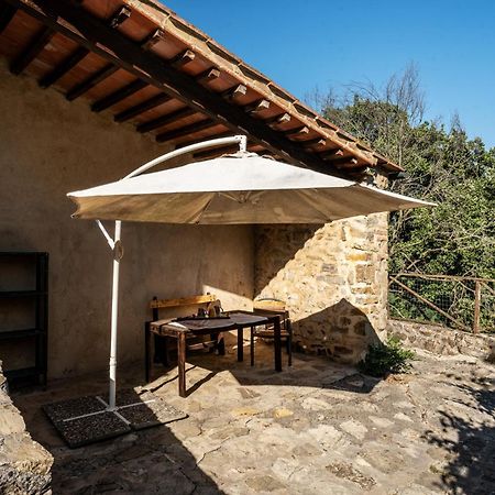 Agriturismo Santa Caterina Castelnuovo di Val di Cecina Exteriér fotografie