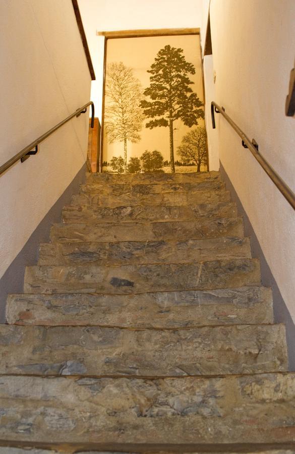 Agriturismo Santa Caterina Castelnuovo di Val di Cecina Pokoj fotografie